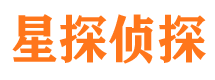 阳西找人公司